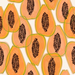 Papaya Cravings | Pastel Watercolor Tropical Fruit Food Painting | Juicy Sweet Illustration